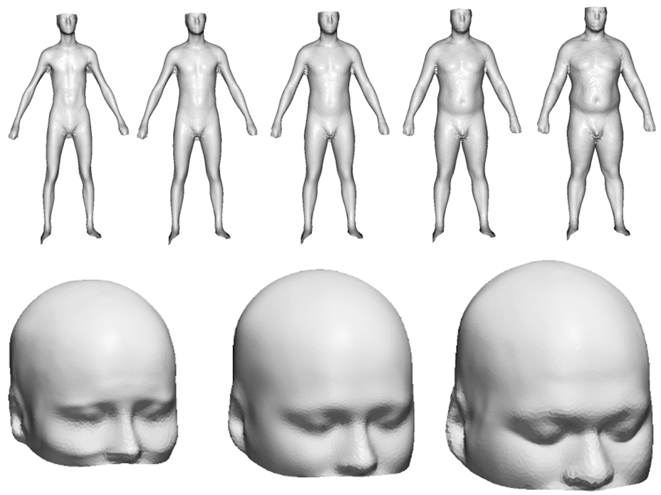 Male mannekins with increasing body mass index and S/M/L-headforms for wearable products